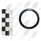 5320-3501117 Кольцо (РТИ) квадр.сеч. ф37х47х5 внутр.паз разжимного кулака КАМАЗ-УВК