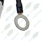 5490-3724750-36 Жгут проводов EBS КАМАЗ-УВК