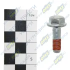 R3918109 Болт DIN6921 М8х25х1,25; Р=24 К=10 (каленый) впус. коллектора ISDe Cummins КАМАЗ-УВК