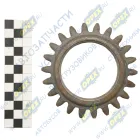 МП05-4202018-01 Шестерня фвнутр=62 h=36 КОМ к МП-05 пр-ва Кранмаш; 22зуб Кранмаш