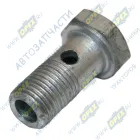 245-1104787-01 Болт-штуцер С/И М10х20х1 Р=12 К=14 1 отв. обратки Д-245 ГАЗ, ЗИЛ-5301 (короткий) ММЗ