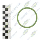 536.1115288 Кольцо (РТИ) круг.сеч. 067-075-46 ГОСТ-9833-73 ПТП