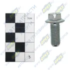 301426-01 Болт ГОСТ-7798 М10х25х1,25; Р=23 К=12/13 (фланцевый) РААЗ