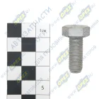 1/59707/29 Болт ГОСТ-7798 М10х25х1,25 Технотрон