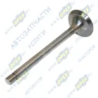 240-1007014 Клапан впускной дв.ММЗ ф48 L=160 старого образца угол 45гр. ЧАМЗ