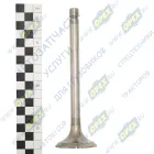 240-1007014 Клапан впускной дв.ММЗ ф48 L=160 старого образца угол 45гр. ЧАМЗ