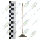 5340.1007010 Клапан впускной ЯМЗ-534 ЯМЗ