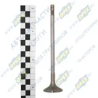 5340.1007012 Клапан выпускной ЯМЗ-534 ЯМЗ