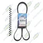 5362.3701170-11 Ремень поликлиновой 6PK1605 Renault Megane/Espace 1.9/1.9D/TD/DCi/DTi 95-03 BMW / CITROEN / FIAT / LANCIA / PEUGEOT / RENAULT / ROLLS-ROYCE / ЯМЗ