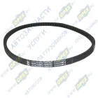 503-3407209-1 Ремень клиновой 14х10х987 гидроусилителя ЯМЗ (МАЗ,КРАЗ); зубчатый ЯРТ