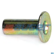 Заклепка ф8х20 сталь трубчатая DAF LCV (1970-2020), UNIVERSAL (1970-2020)