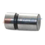 Палец тормозной колодки 31.5х62.5; Propar/P/PS/PSL