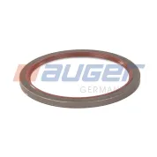 Сальник ступицы задней 132х160х10мм; наружный в ступице с дисковым тормозом;MAN TGA/TGS/TGX+автобусы MAN Bus (1970-2020)