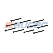 Комплект болтов ГБЦ Opel Movano 2.2DTi/2.5DTi 00- / Renault Laguna/Eapace/Avantime/Master/Trafic 2.2DCi/2.5DCi 00- RVI Master (1997-2021)