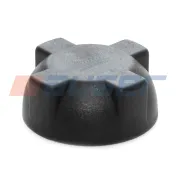 Пробка (крышка) бачка расширительного Daf Lf/lf45/lf55 RVI Kerax (2000-2020), VOLVO FE (2006-2020)