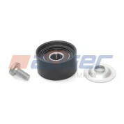 Ролик натяжителя! вентилятора\ Volvo B9/10/12 RVI Kerax 2 (2005-2020), VOLVO B12 (1992-2020)