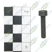 Бoлт M6x25х1 Р=24 цилиндр. головка под внутрен. шестигр-к 5 SAUER ACHSEN