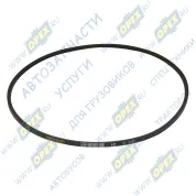 Ремень клиновой 11х10х1650 MAN Bus (1970-2020), MB LCV (1970-2020), SCANIA LCV (1970-2020)