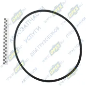 Ремень клиновой 11х10х1250 240-1308020 ALFA ROMEO / FORD / ISUZU / NISSAN / OPEL / SAAB / TOYOTA / VAUXHALL / VOLKSWAGEN / MAN Lion's (1991-2021), MB