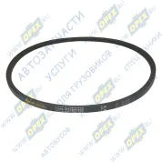 Ремень клиновой 11х10х975 BMW / FORD / MAZDA / MITSUBISHI / NISSAN / PORSCHE / SAAB / SKODA / TOYOTA / VOLKSWAGEN / VOLVO / IVECO Eurocargo III (2008-