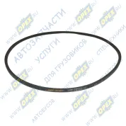 Ремень клиновой 10x1150 MAN Lion's (1991-2021)