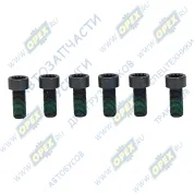 Болты С/И М10х22х1 Р=21 цилиндр. голов. SPLINE М12 (комплект 6шт.) крепления маховика AUDI / SEAT / SKODA / VOLKSWAGEN / PORSCHE