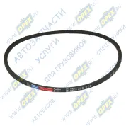 Ремень клиновой 13х1150 DAF LCV (1970-2020), K?SSBOHRER (1970-2020), MAN Bus (1970-2020), MB Bus (1970-2020), VOLVO FH (2005-2020)