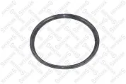 Сальник 98х112х6 задней ступицы FH12 NEW (уплотнительное кольцо) RVI C (2013-2020), VOLVO B12 (1992-2020)
