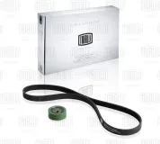 Ремень поликлиновой 6РК1125 AUDI \ CITROEN \ LADA \ MITSUBISHI \ NISSAN \ OPEL \ PEUGEOT \ RENAULT \ SEAT \ SKODA \ VW