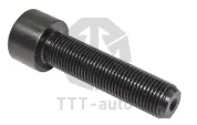 Болт С/И М10х40х1 Р=38 К=звезд.11 фланцевый крышки суппорта WABCO PAN 17