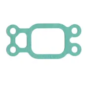 Прокладка впускного коллектора DS/DSC9.01...10; (х6)