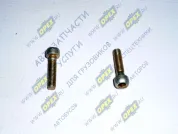 Винт ГОСТ-11738 М5х20х0,8 Р=18 под шестигран / (3860140/0) регулировочной рейки дв.560