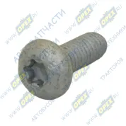 Болт С/И М6х15х1 Р=15 полукругл. головка К=внутр.звезд. 6 датчика положения коленчатого вала Газель Некст дв.G21