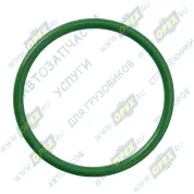 Кольцо (РТИ) круг. сеч. 041-046-25 ГОСТ 9833-73 уплотнительное дв. Р-6