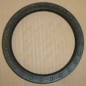 Сальник (манжета) 105x130x12/9.5 хвостовика КПП ZF 16S; MAN/MB/DAF/VOLVO/IVECO/RVI IVECO Bus (1970-2020), MAN Bus (1970-2020), MB LCV (1970-2020), NEO