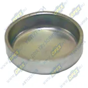 Заглушка (сталь) ф28 h=8