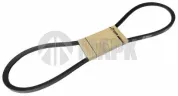 Ремень клиновой 11х10х1250 240-1308020 ALFA ROMEO / FORD / ISUZU / NISSAN / OPEL / SAAB / TOYOTA / VAUXHALL / VOLKSWAGEN / MAN Lion's (1991-2021), MB