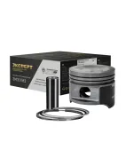 Поршень d=100.5 Газель,УАЗ (дв.УМЗ-4216,4213,421,4218,4219,4215)