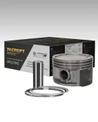 Поршень 96.5мм (дв.ЗМЗ-40524,40525) Евро-3