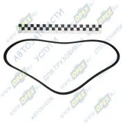 Ремень поликлиновой 6РК860 FORD Fiesta/Ka 1.3 95-97, Peugeot 306 1.9HDi 99> AUDI / CITROEN / HONDA / PEUGEOT /RENAULT / TRUCKS /SKODA /TOYOTA /VOLKSWA