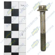Болт DIN6921 М8х55х1,25 Р=24 К=10/11