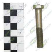 Болт ГОСТ-7798 М10х55х1 Р=29 К=14 кронш.креп.балки передней подвески ГАЗ 3110 (62х0х0)