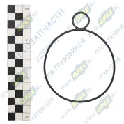 Кольцо (рти) 090-095-25+019-024-25 С/И