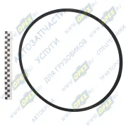 Ремень клиновой 11х10х1250 240-1308020 ALFA ROMEO / FORD / ISUZU / NISSAN / OPEL / SAAB / TOYOTA / VAUXHALL / VOLKSWAGEN / MAN Lion's (1991-2021), MB