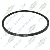 Ремень клиновой 11х10х950 IVECO // ALFA ROMEO // BMW // CHRYSLER // FORD // HONDA // HYUNDAI // ISUZU // JAGUAR // JEEP // KIA // MAN // MAZDA // MERC