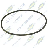 Ремень клиновой 8.5х8х1030 MB (W123)300 Turbo-D [OM 617.952] 125 hp 1981 - 1985 GAZ -24 2.4 [ZMZ-402.10] 90 hp 1972 - 1993 GAZ -3110 2.4 [Z IVEC