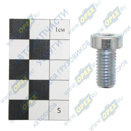 59228 Болт С/И М10х20х1,5 Р=20 , кругл.головка под внутр. шестигр.(7) крепления подковы Auger1