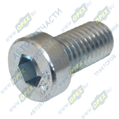 59228 Болт С/И М10х20х1,5 Р=20 , кругл.головка под внутр. шестигр.(7) крепления подковы Auger