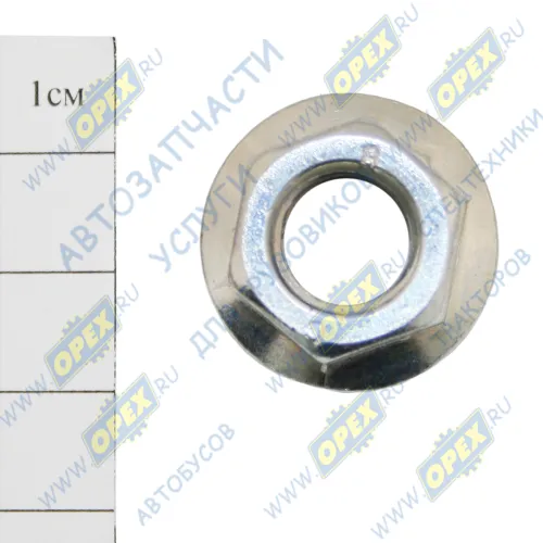 119406 Гайка DIN6923 M12x1,75 h=12 К=18 фланцевая КАМАЗ дв.Cummins крепления возд. компрессора, генератора (EQB DAF LCV (1970-2020), SCANIA N Bus (2004-2020) Auger1