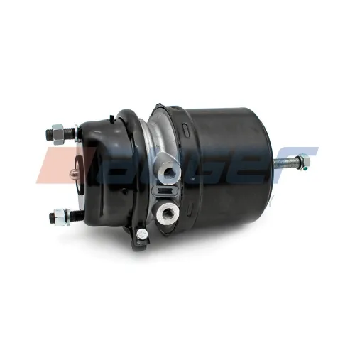 21138 Камера тормозная (энергоаккумулятор) дискового тормоза Тип 20/24 85-00503-SX DAF LCV (1970-2020), ROR (1970-2020); 1522314, 9254600270 аналог Auger